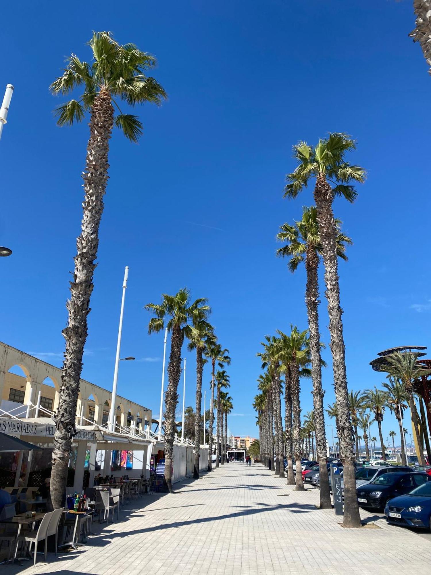 Sun And Beach Lovers 12019 La Pineda Exterior photo